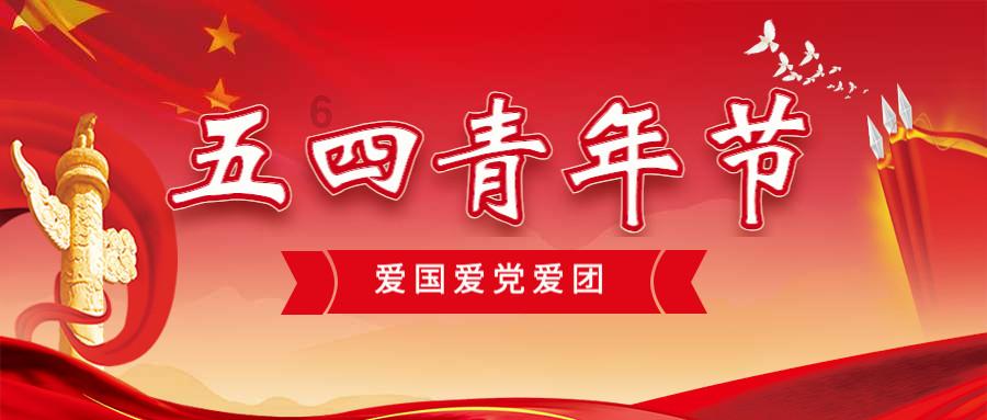 彼得比尔特379拼图